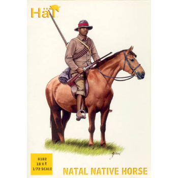 NATAL NATIVE HORSE